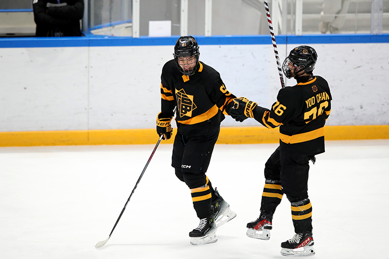 BV3I2019-1