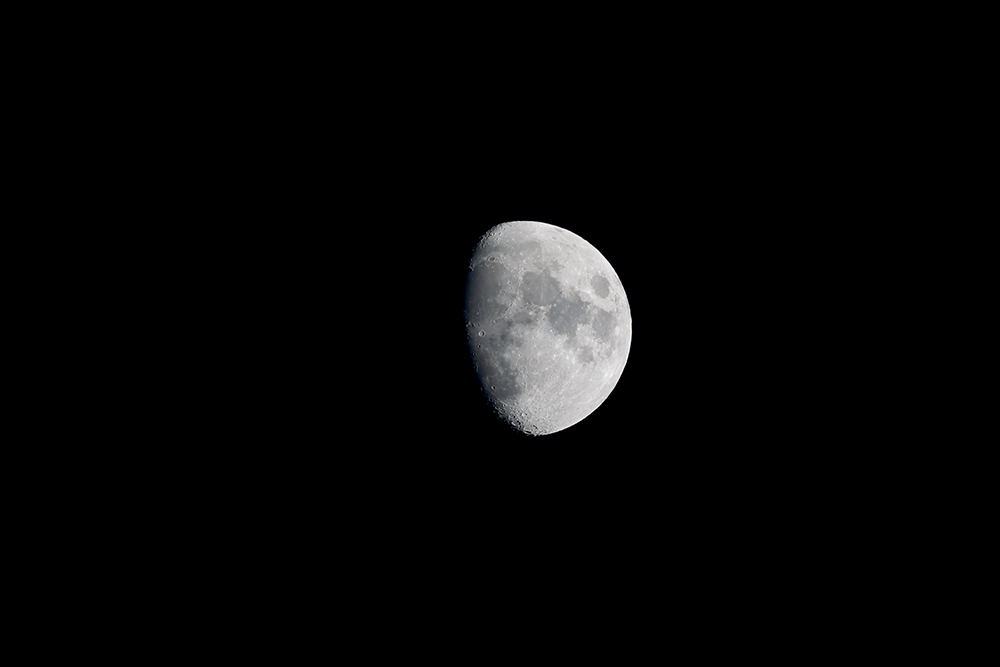 080A6183-1